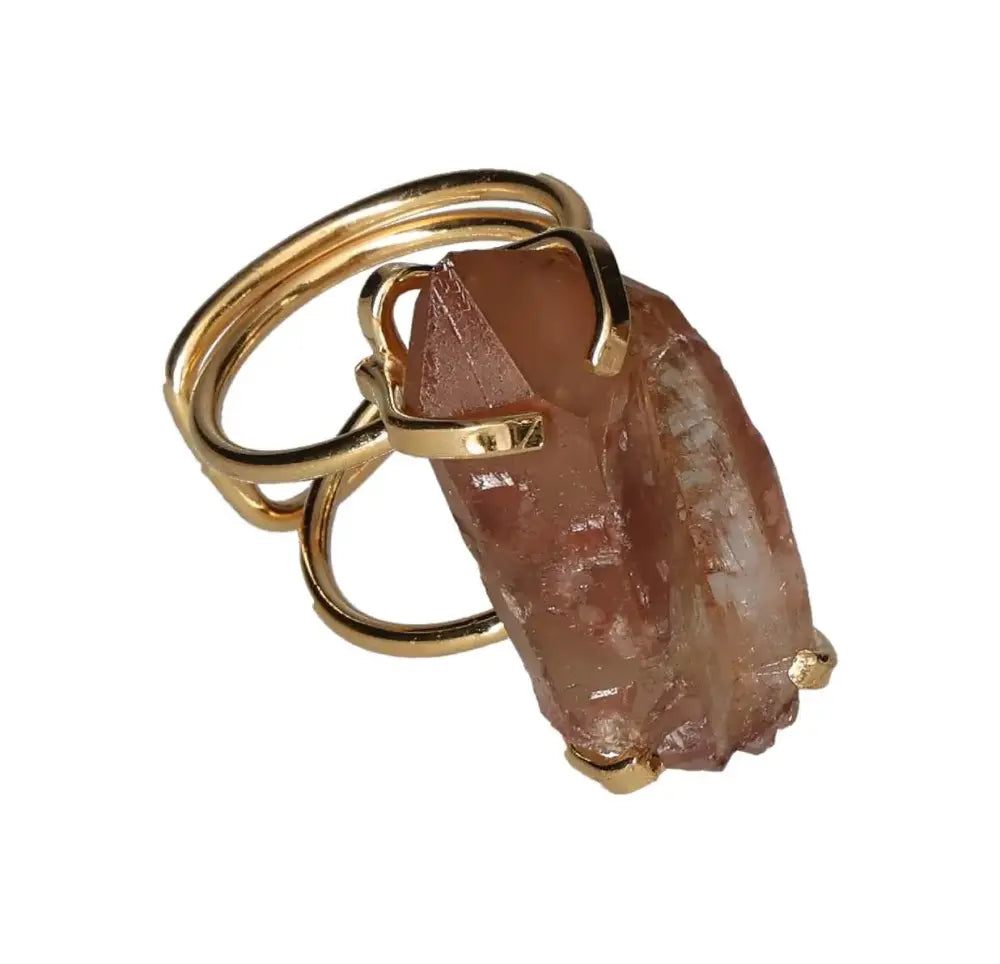 orbitvu|type:image2d