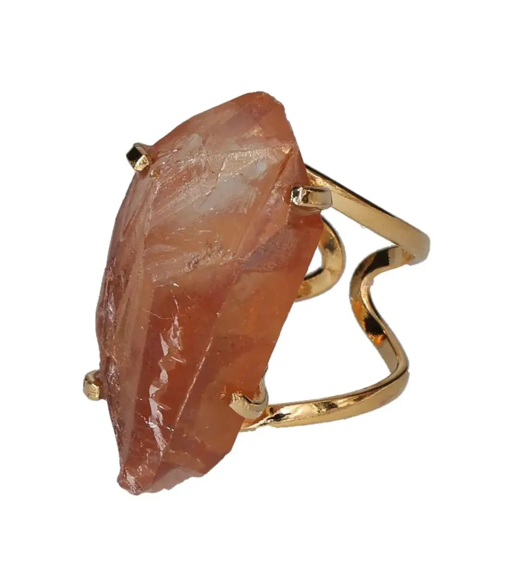 orbitvu|type:image2d