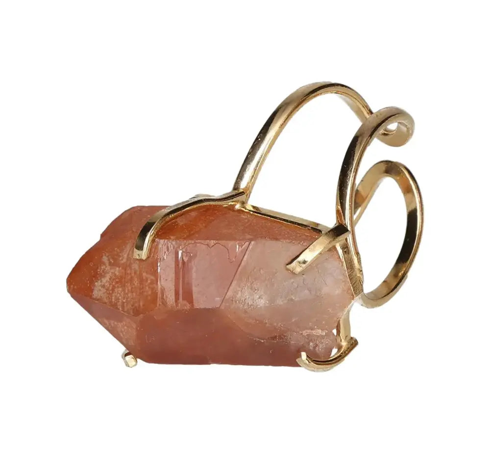 orbitvu|type:image2d