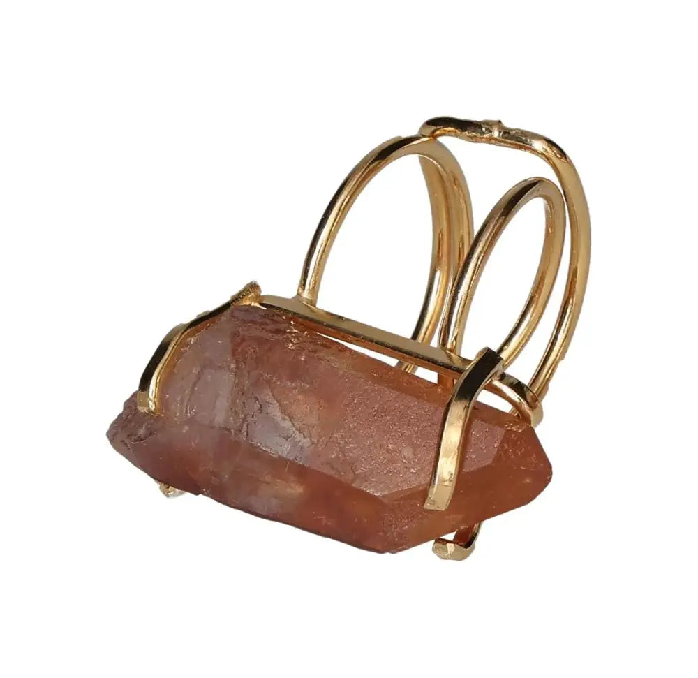 orbitvu|type:image2d