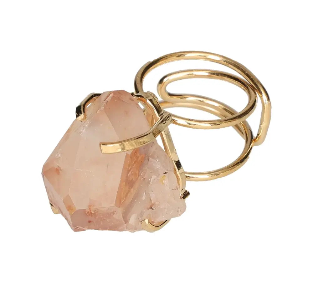 orbitvu|type:image2d