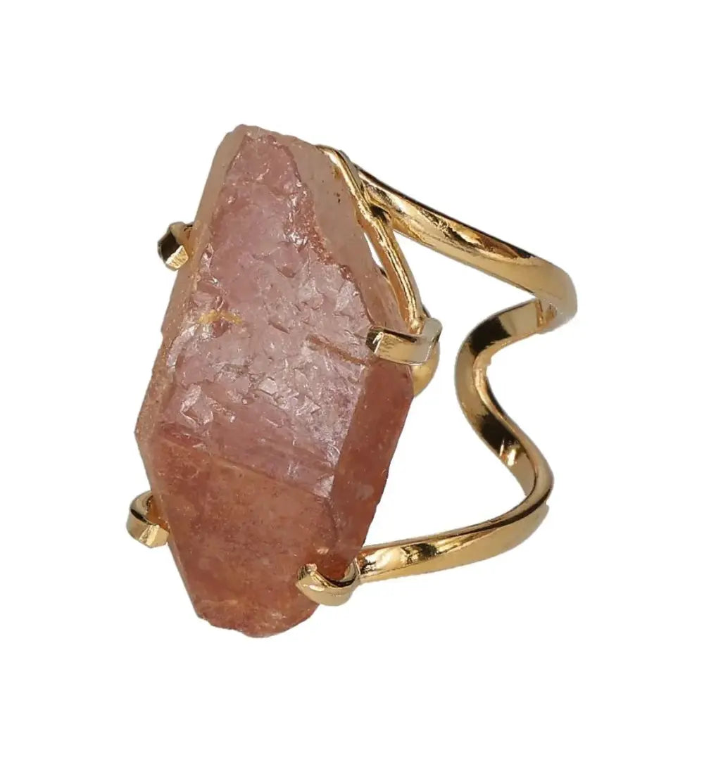 orbitvu|type:image2d