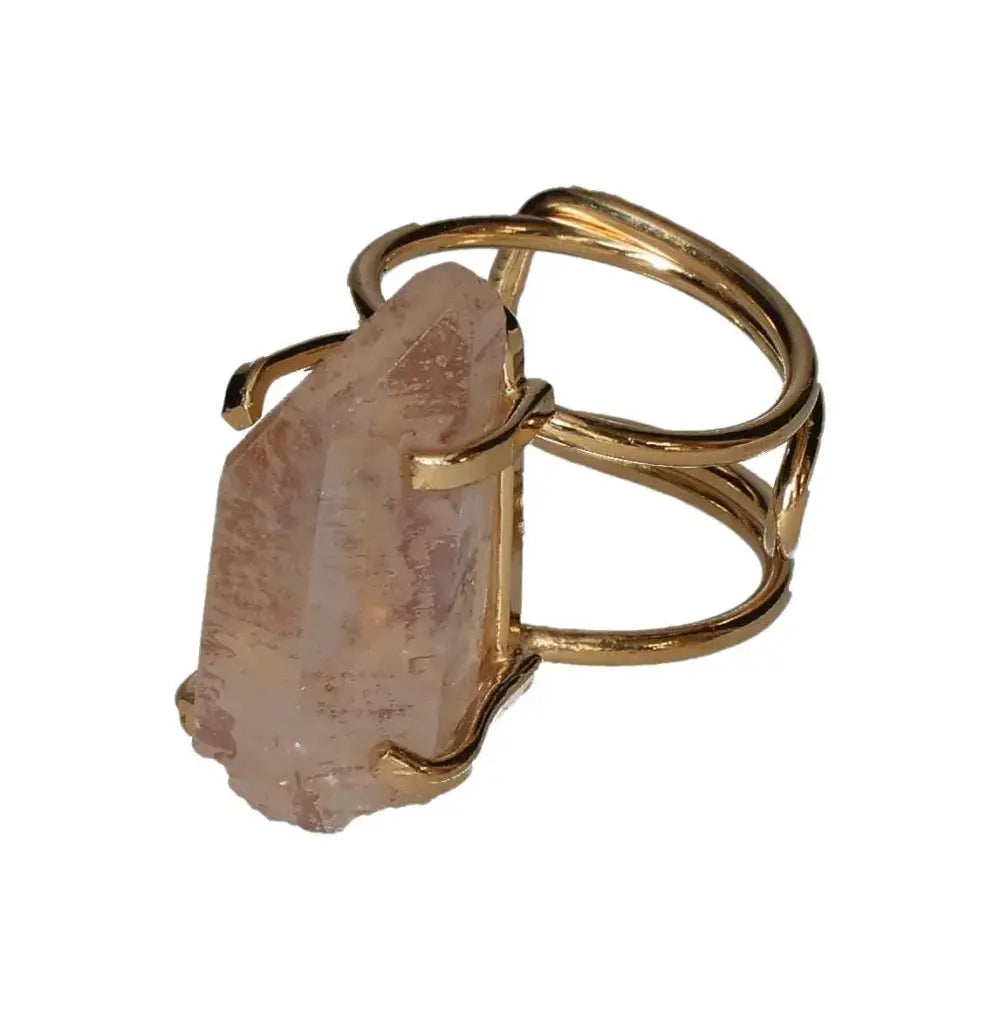 orbitvu|type:image2d