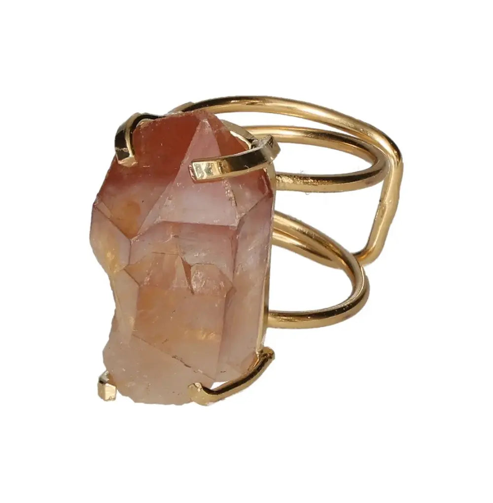 orbitvu|type:image2d