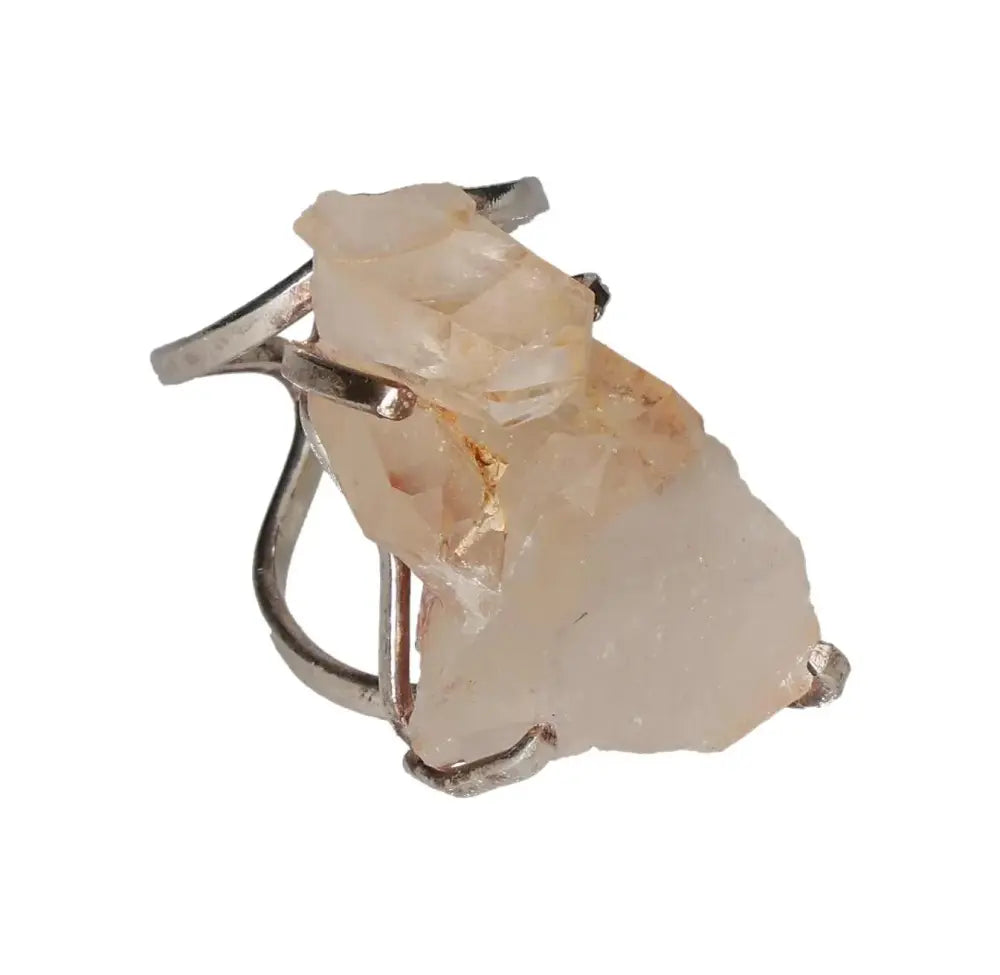 orbitvu|type:image2d