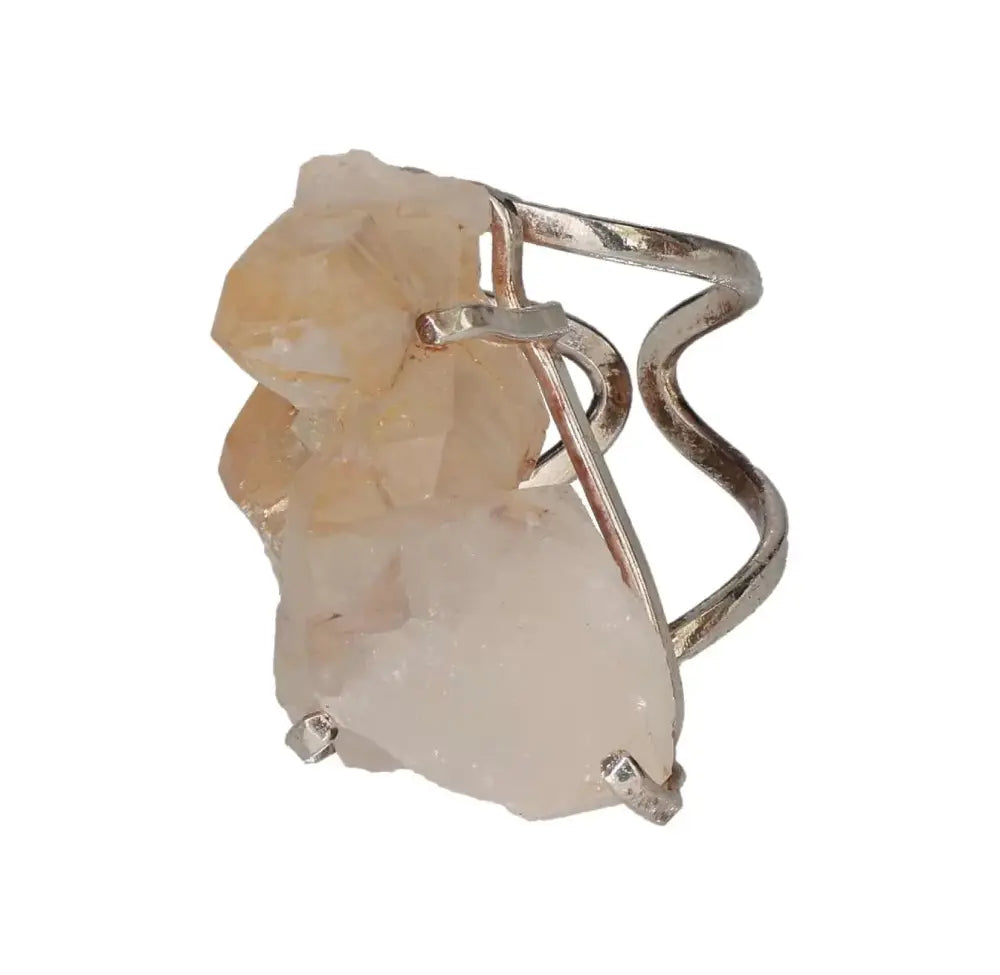 orbitvu|type:image2d