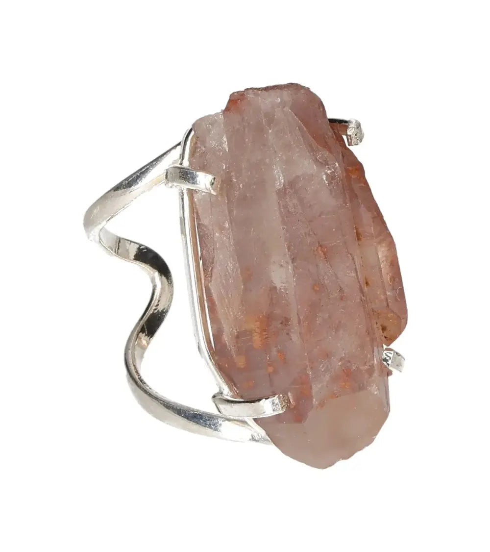 orbitvu|type:image2d