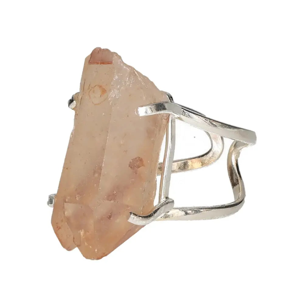 orbitvu|type:image2d