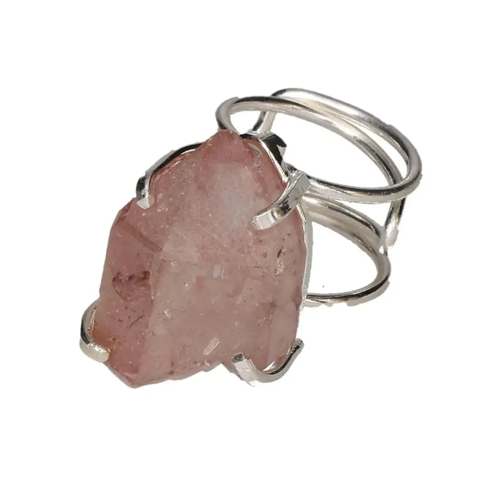 orbitvu|type:image2d