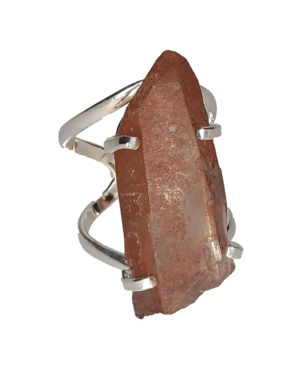 orbitvu|type:image2d