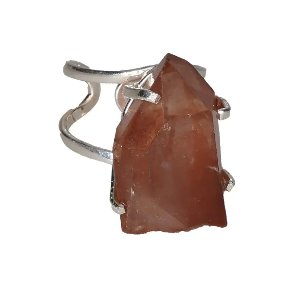 orbitvu|type:image2d