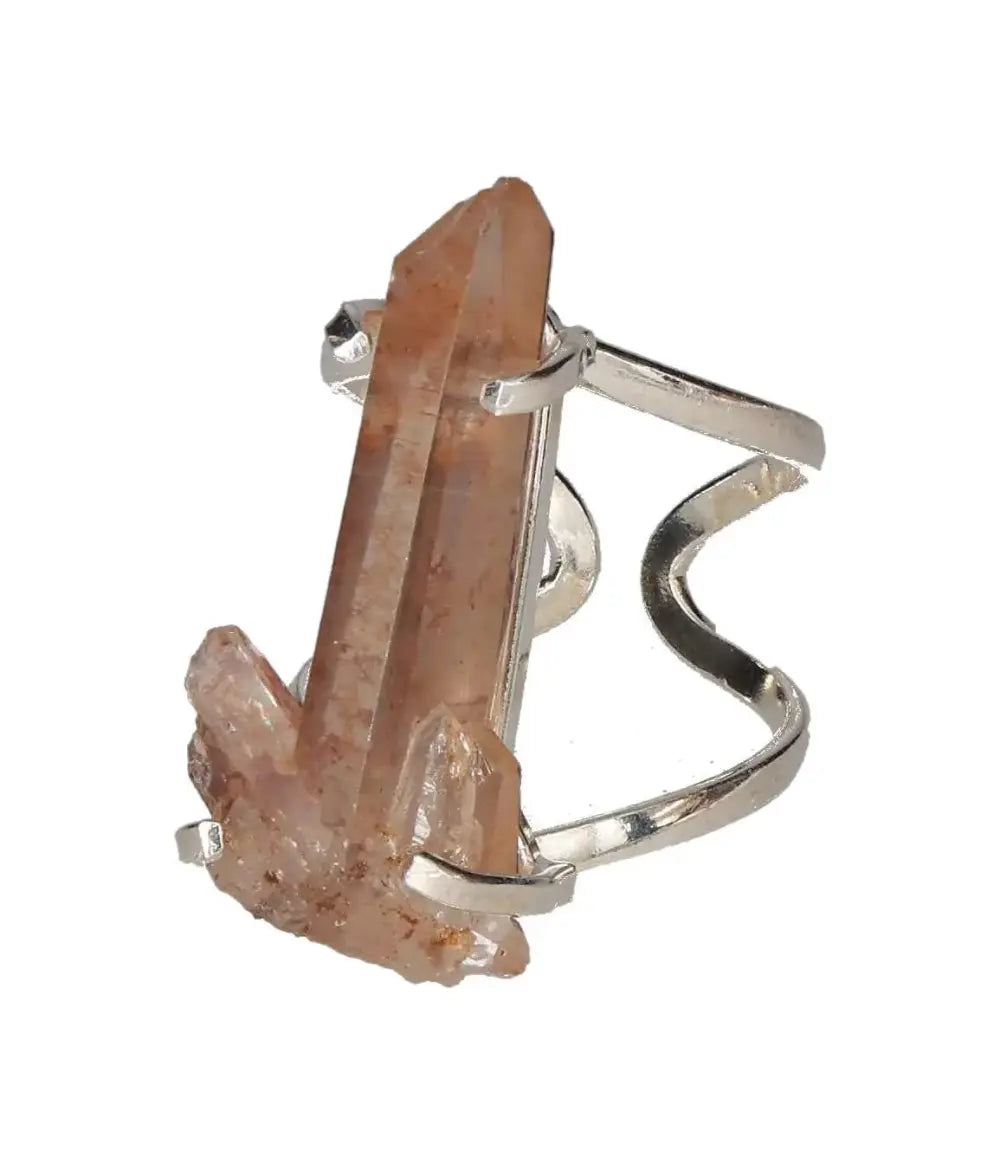 orbitvu|type:image2d