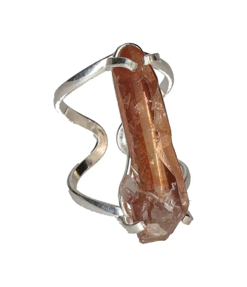 orbitvu|type:image2d