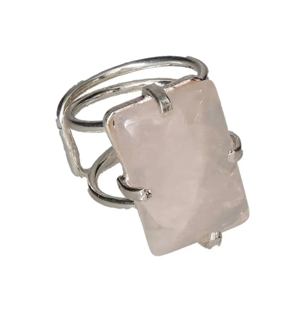 orbitvu|type:image2d