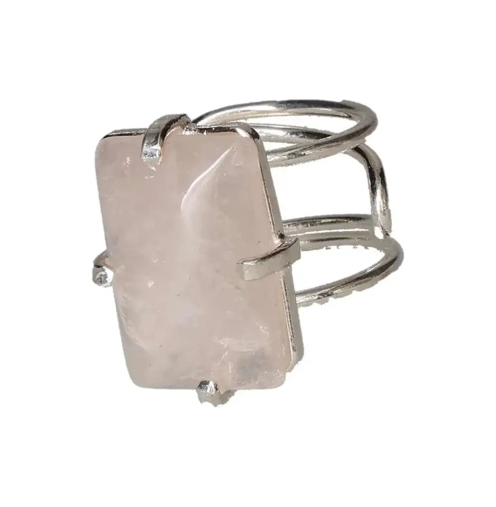 orbitvu|type:image2d