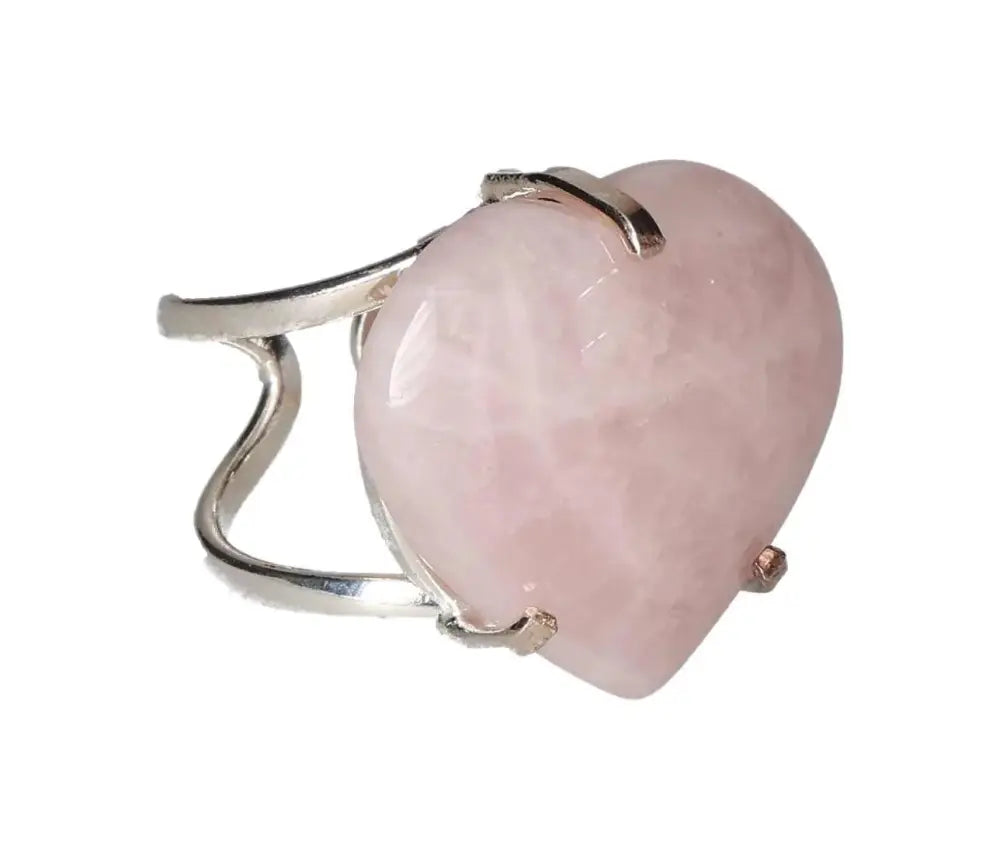 orbitvu|type:image2d