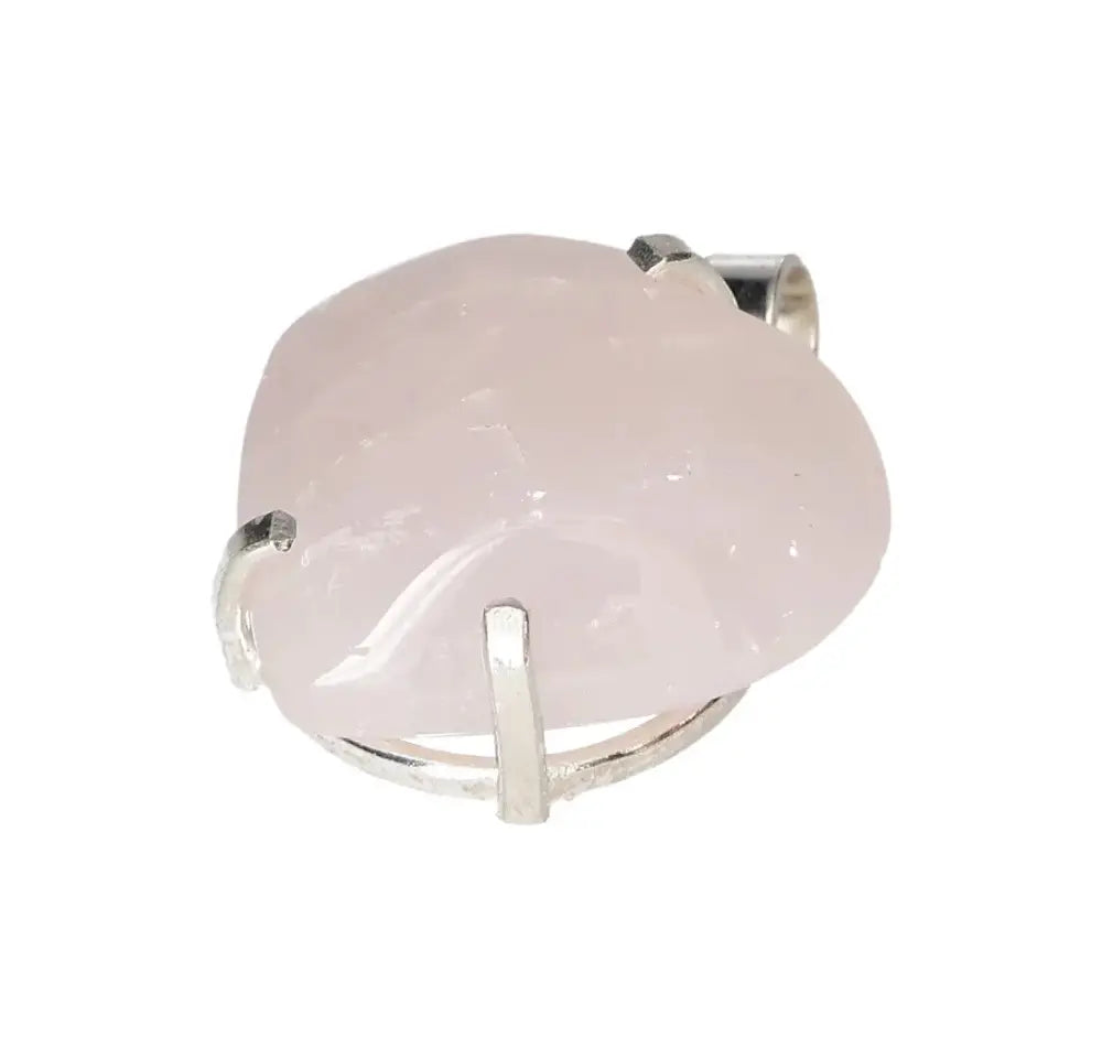 orbitvu|type:image2d