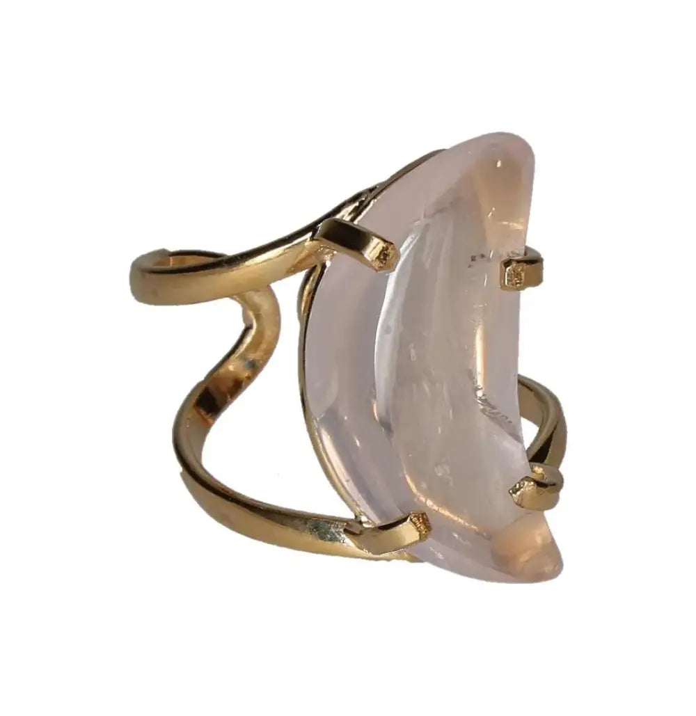 orbitvu|type:image2d