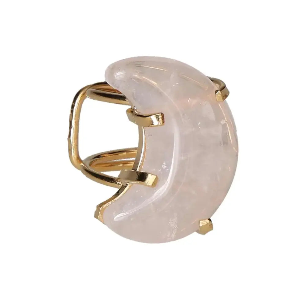 orbitvu|type:image2d