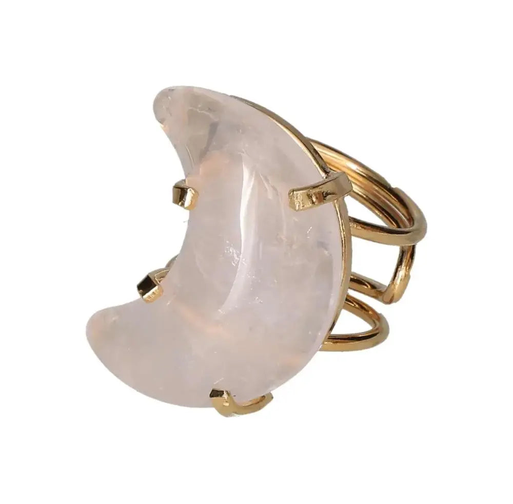 orbitvu|type:image2d