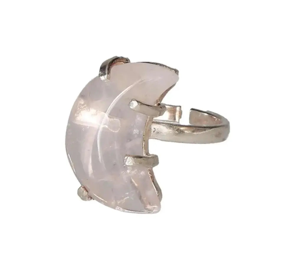 orbitvu|type:image2d