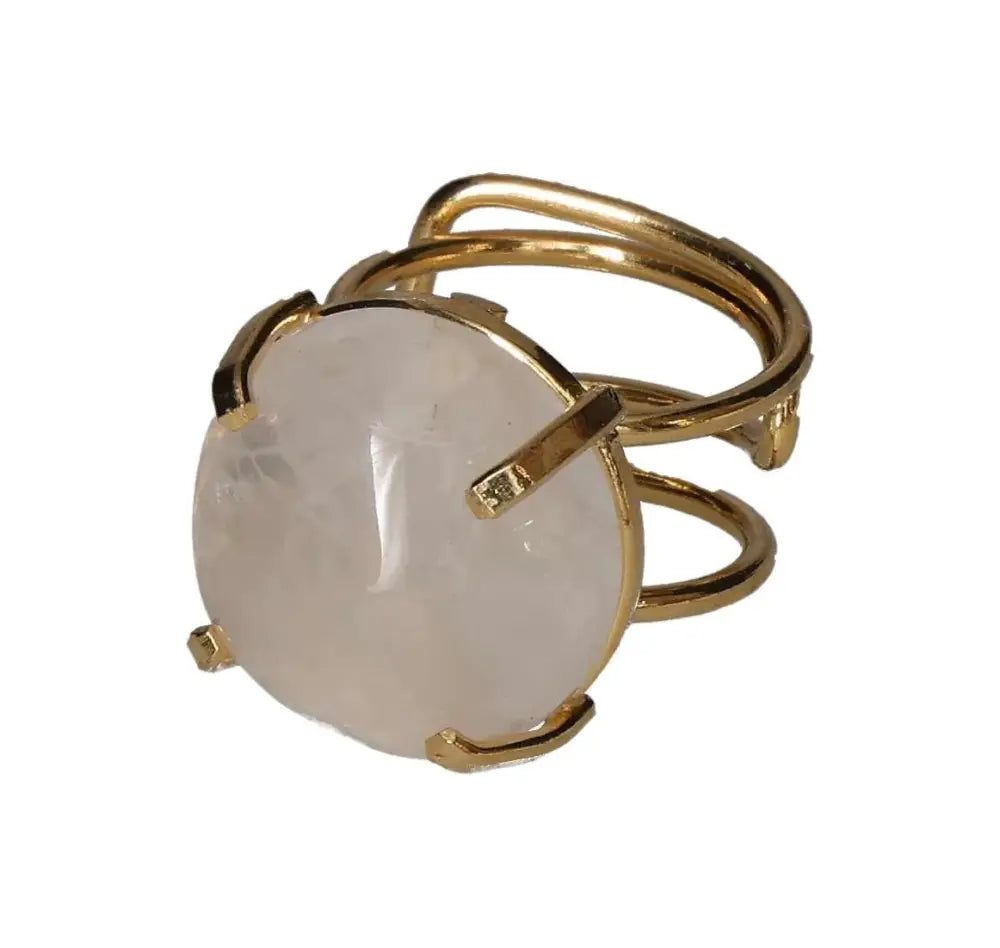 orbitvu|type:image2d