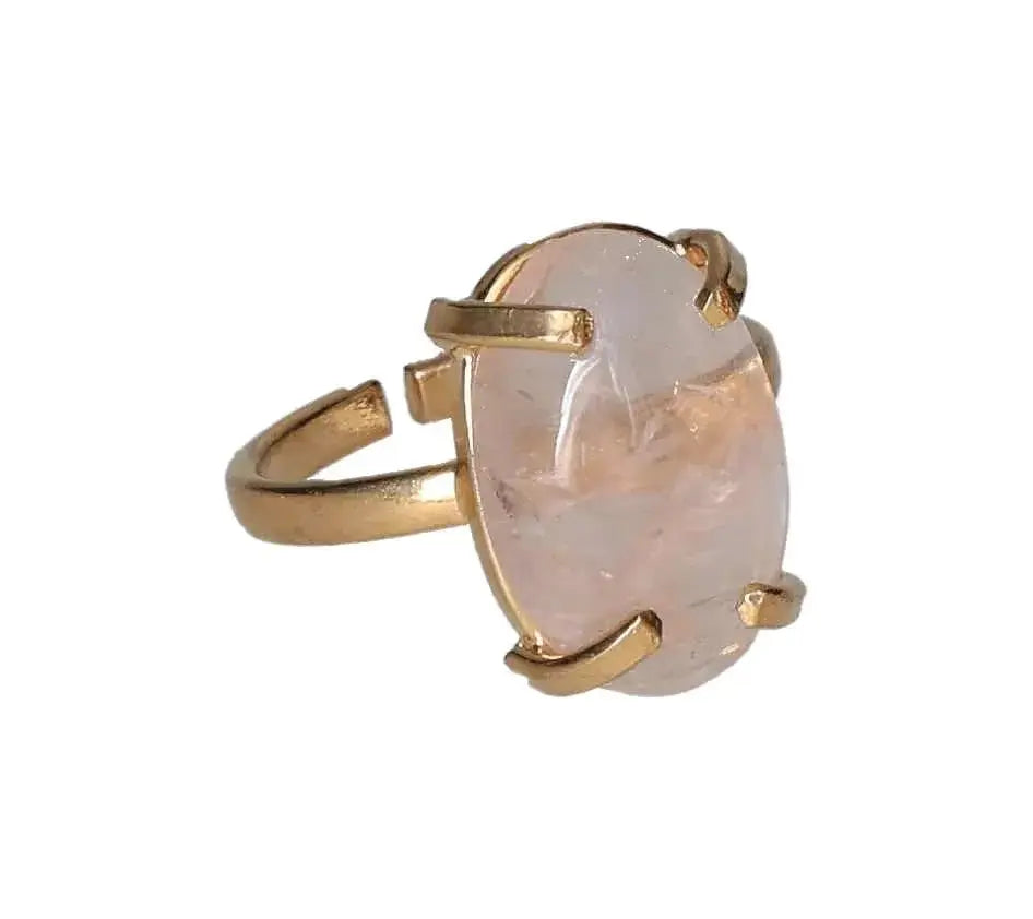 orbitvu|type:image2d