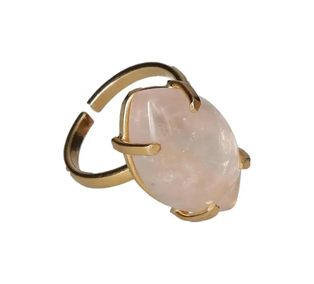 orbitvu|type:image2d