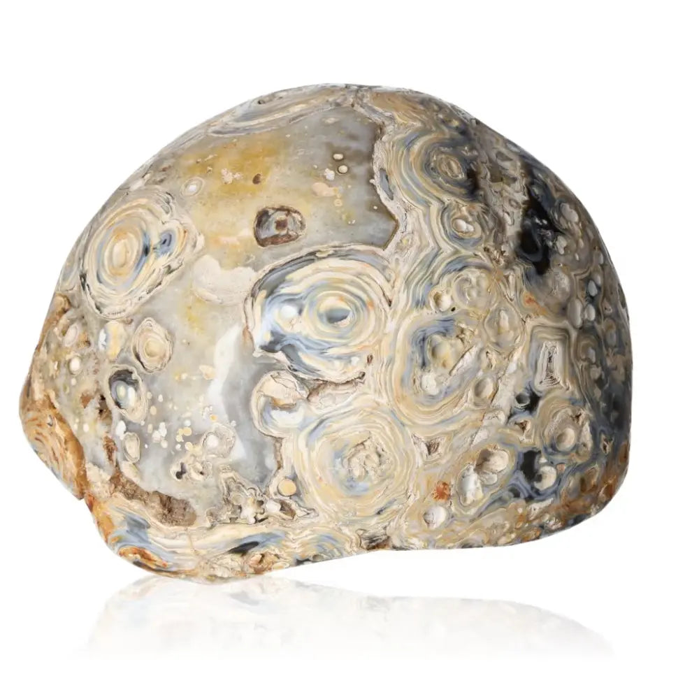 orbitvu|type:ORBITVU 360|https://orbitvu.co/share/M7HAQTDczzZQLP5j5ojTtK/6461836/360/iframe