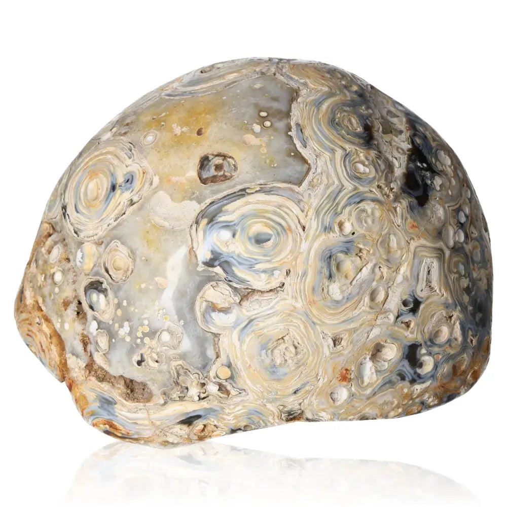 orbitvu|type:image2d