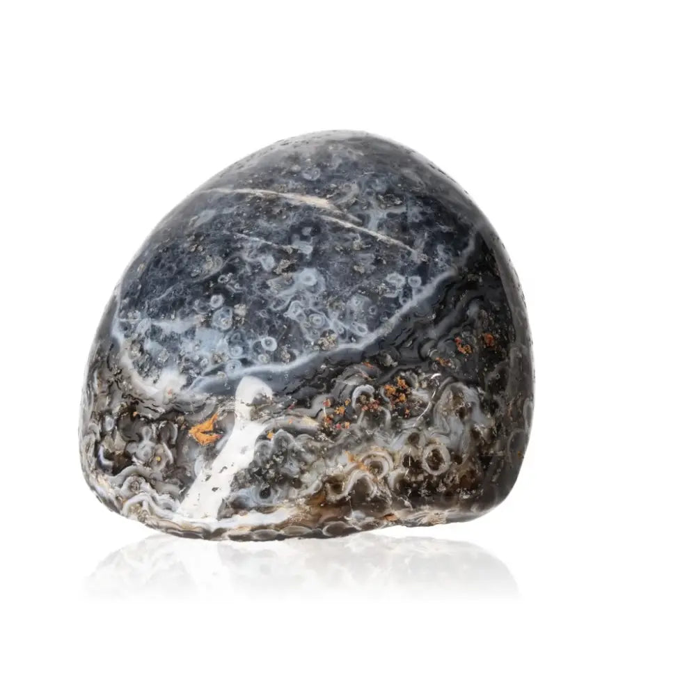 orbitvu|type:ORBITVU 360|https://orbitvu.co/share/EeAutSWkStrpxAvAsrBjy7/6461834/360/iframe