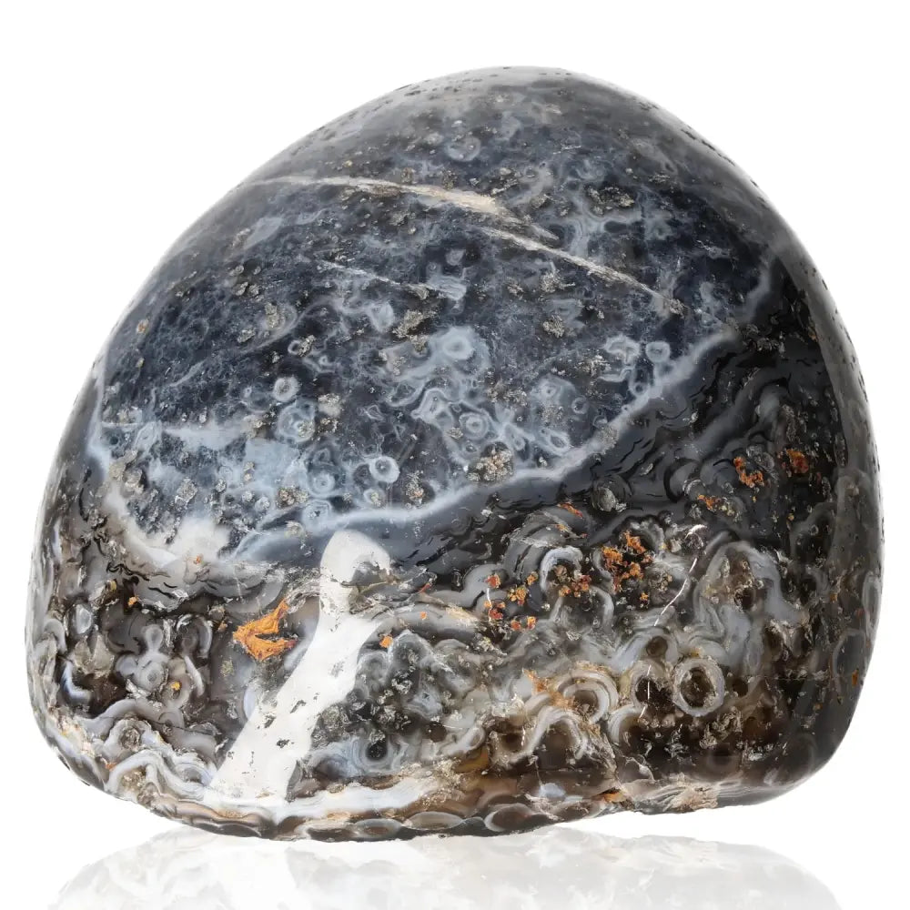 orbitvu|type:image2d