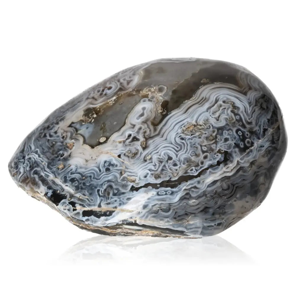 orbitvu|type:image2d