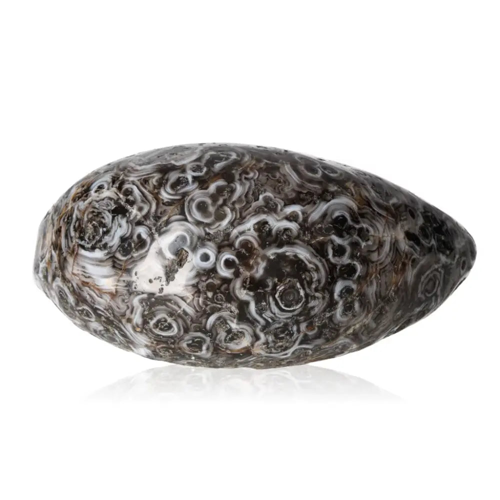 orbitvu|type:ORBITVU 360|https://orbitvu.co/share/kaUFRKzinSRgrxqggDQkjW/6461994/360/iframe