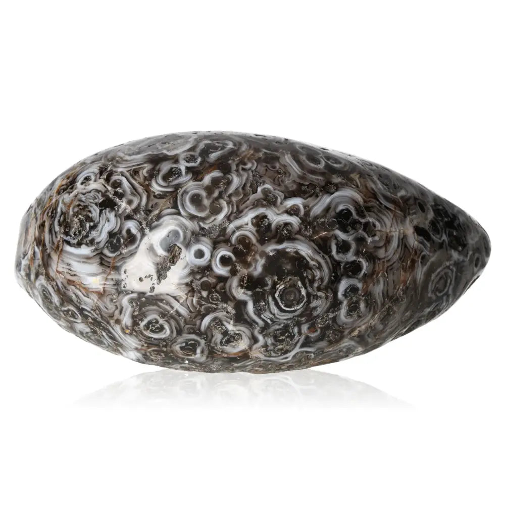 orbitvu|type:image2d