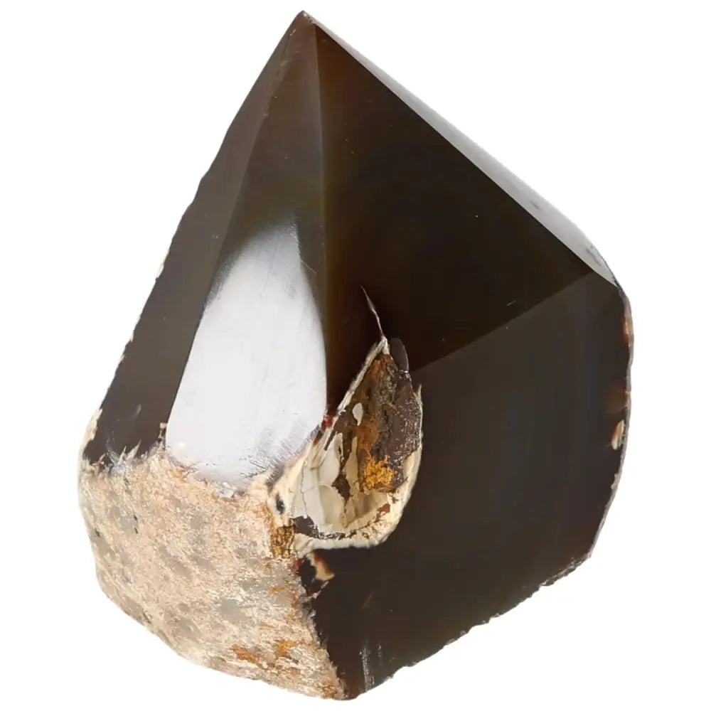 orbitvu|type:image2d