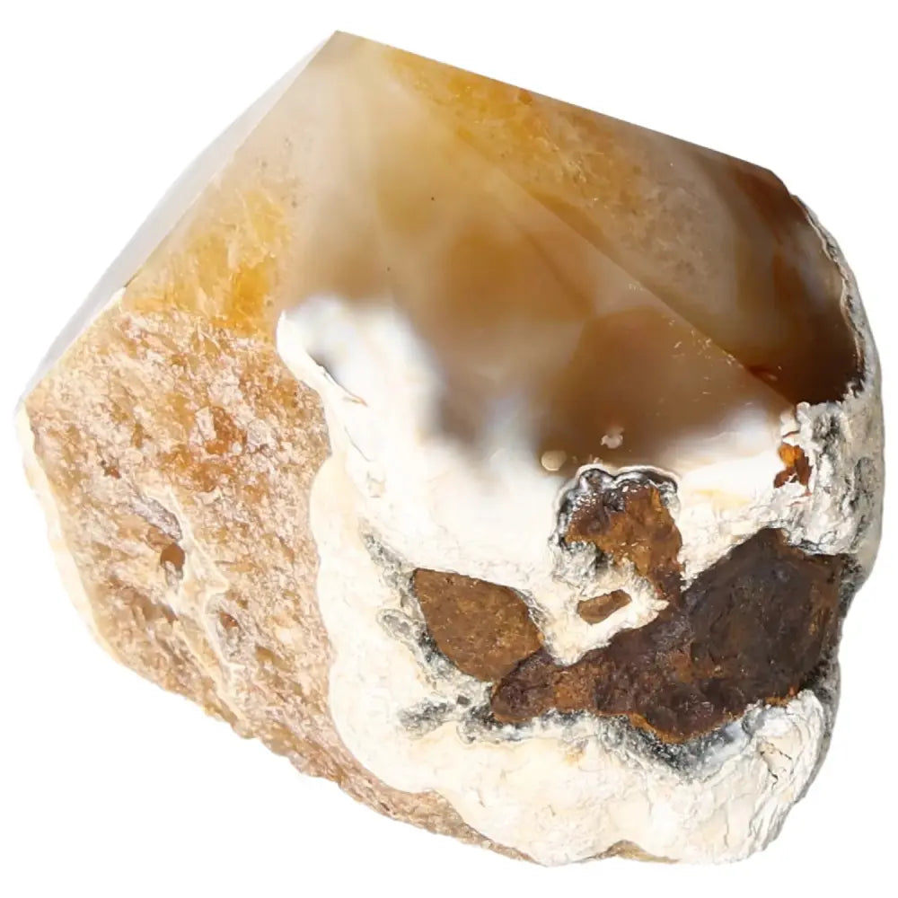 orbitvu|type:image2d