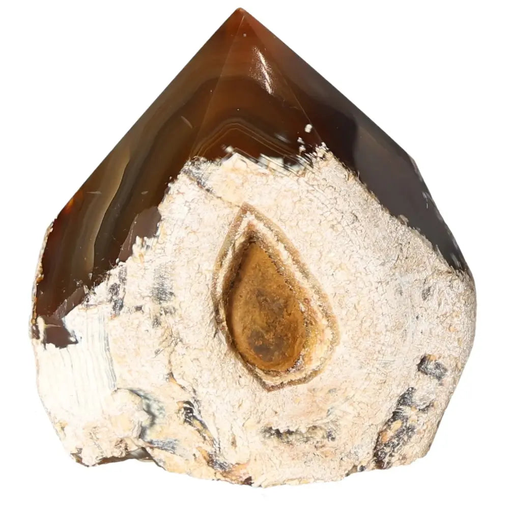 Polished Agate Point crystal from Sylvia Crystals showcasing its vibrant colors and natural texture, ideal for home decor and spirituality.