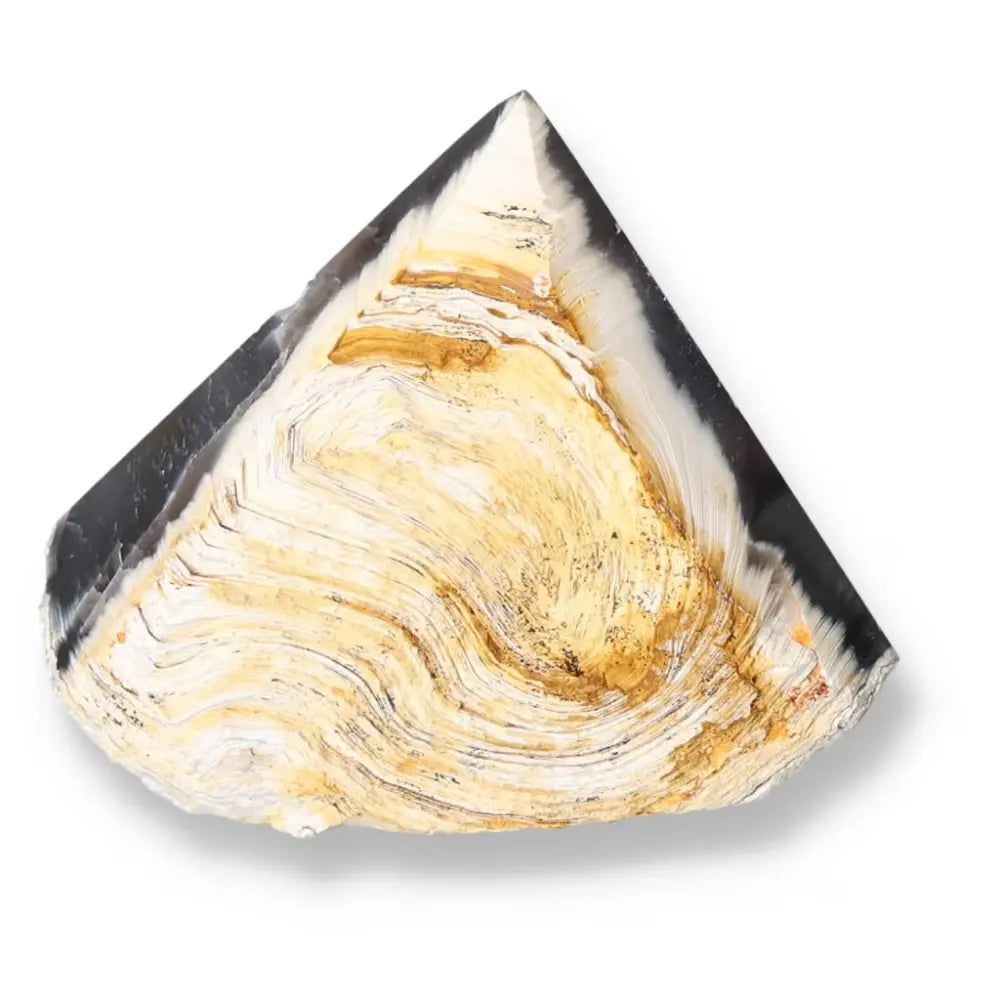 Polished Agate Point showcasing unique golden and black swirls, symbolizing luxury and harmony from Sylvia Crystals.