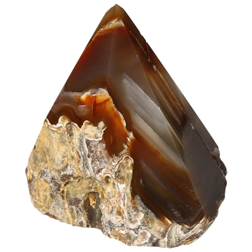 Polished agate point with rich earthy tones, showcasing natural beauty and healing properties from Sylvia Crystals.