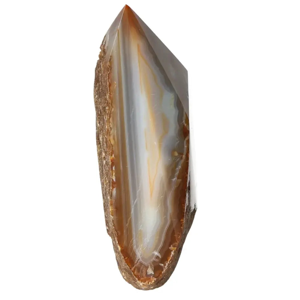 Exquisite polished agate point from Sylvia Crystals, showcasing vibrant earthy tones and a smooth finish for energy harmonization and luxury.