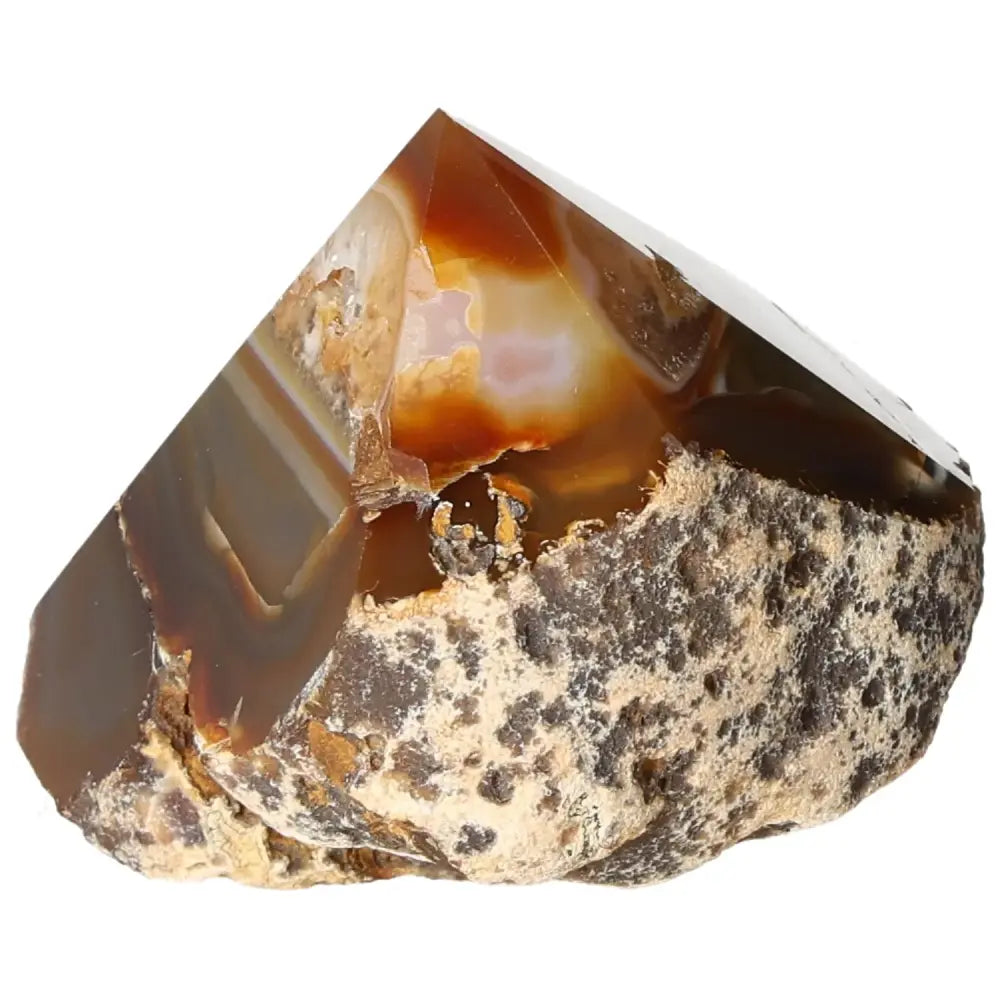 Polished Agate Point from Sylvia Crystals, showcasing unique patterns and vibrant colors for collectors and spiritual enthusiasts.