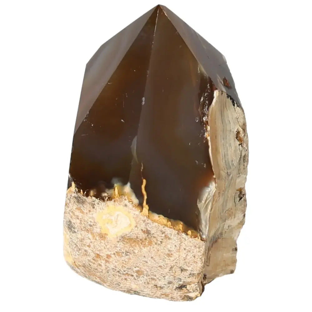 Polished Agate Point stone from Sylvia Crystals, showcasing its rich earthy tones and natural patterns, ideal for energy harmonization.