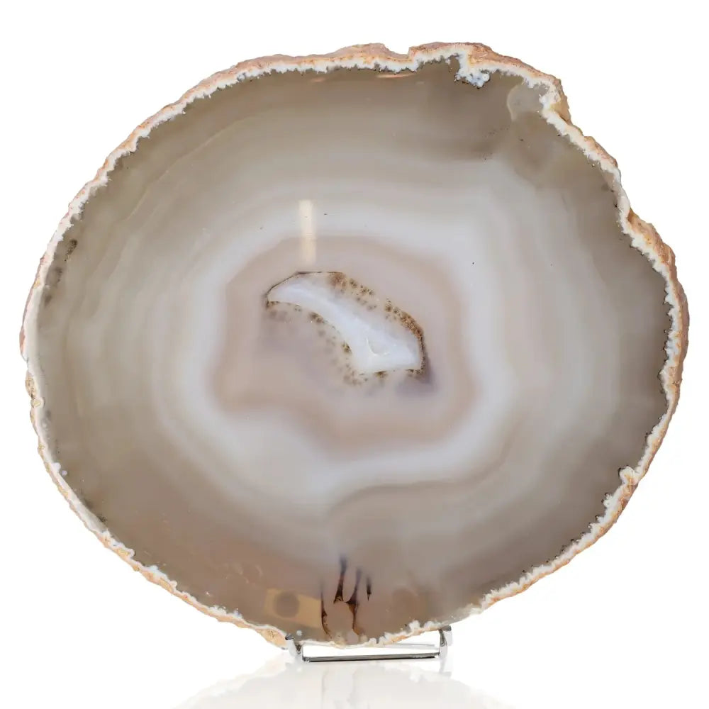 orbitvu|type:image2d