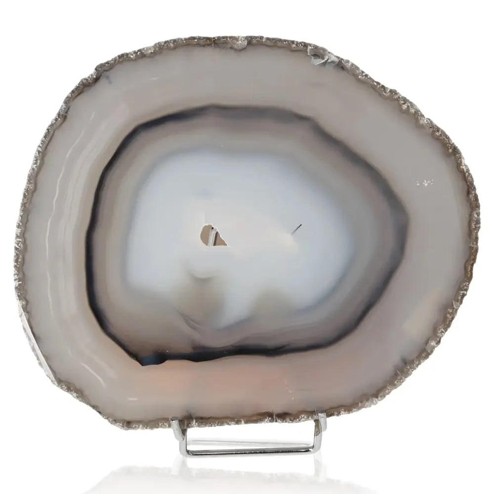 orbitvu|type:image2d