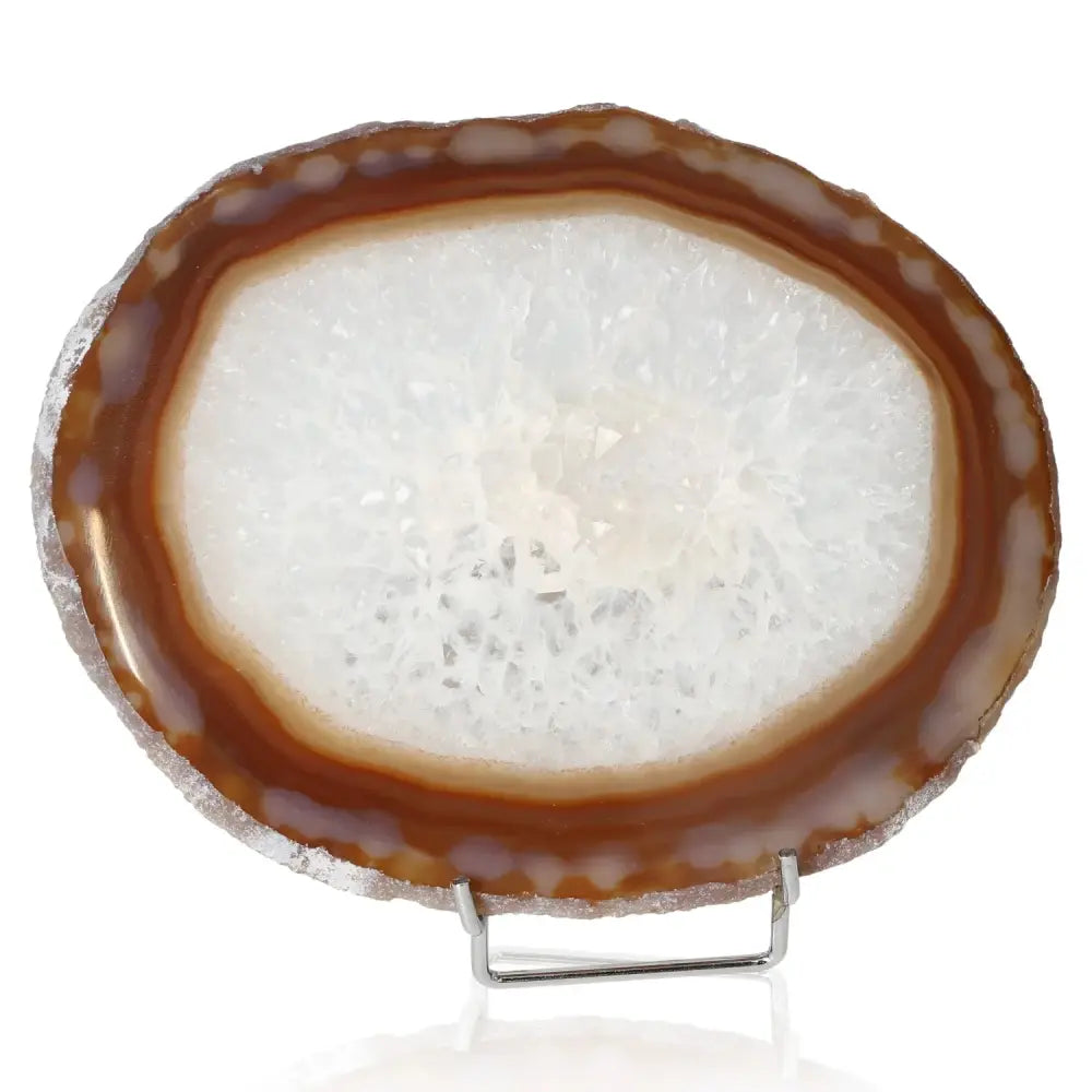 orbitvu|type:image2d