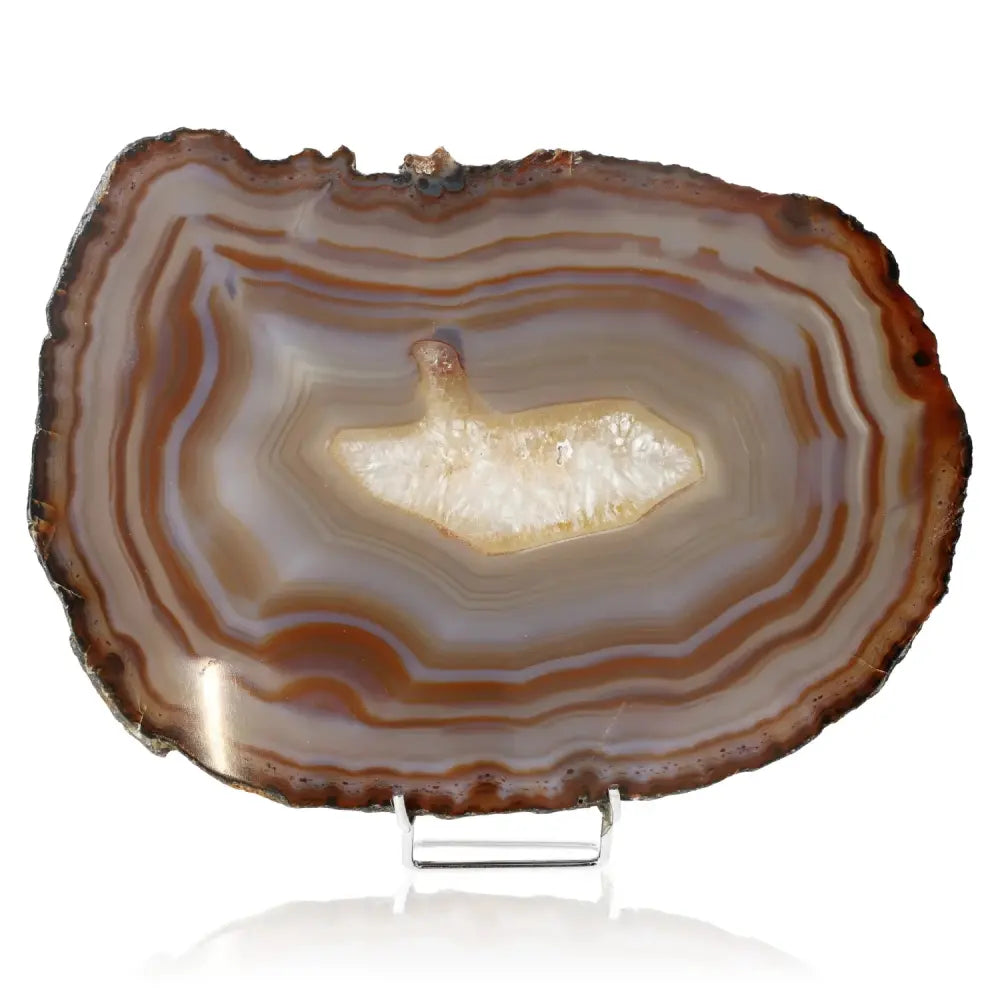 orbitvu|type:image2d