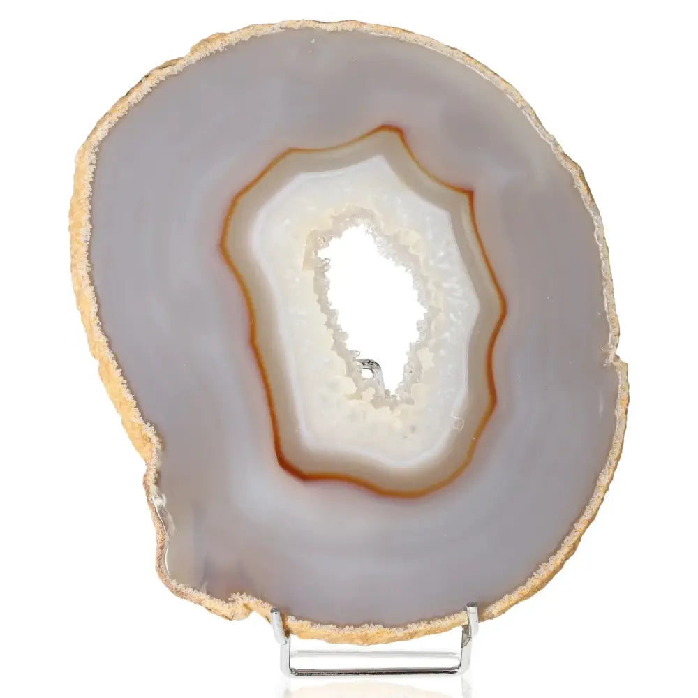 orbitvu|type:image2d