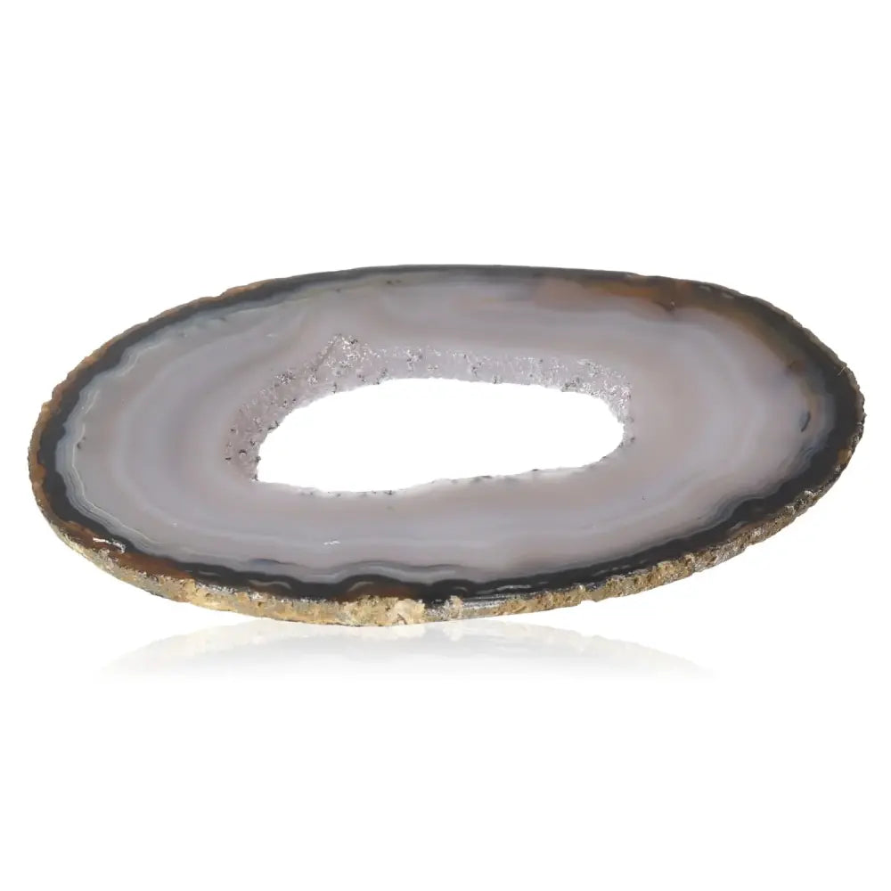 orbitvu|type:image2d