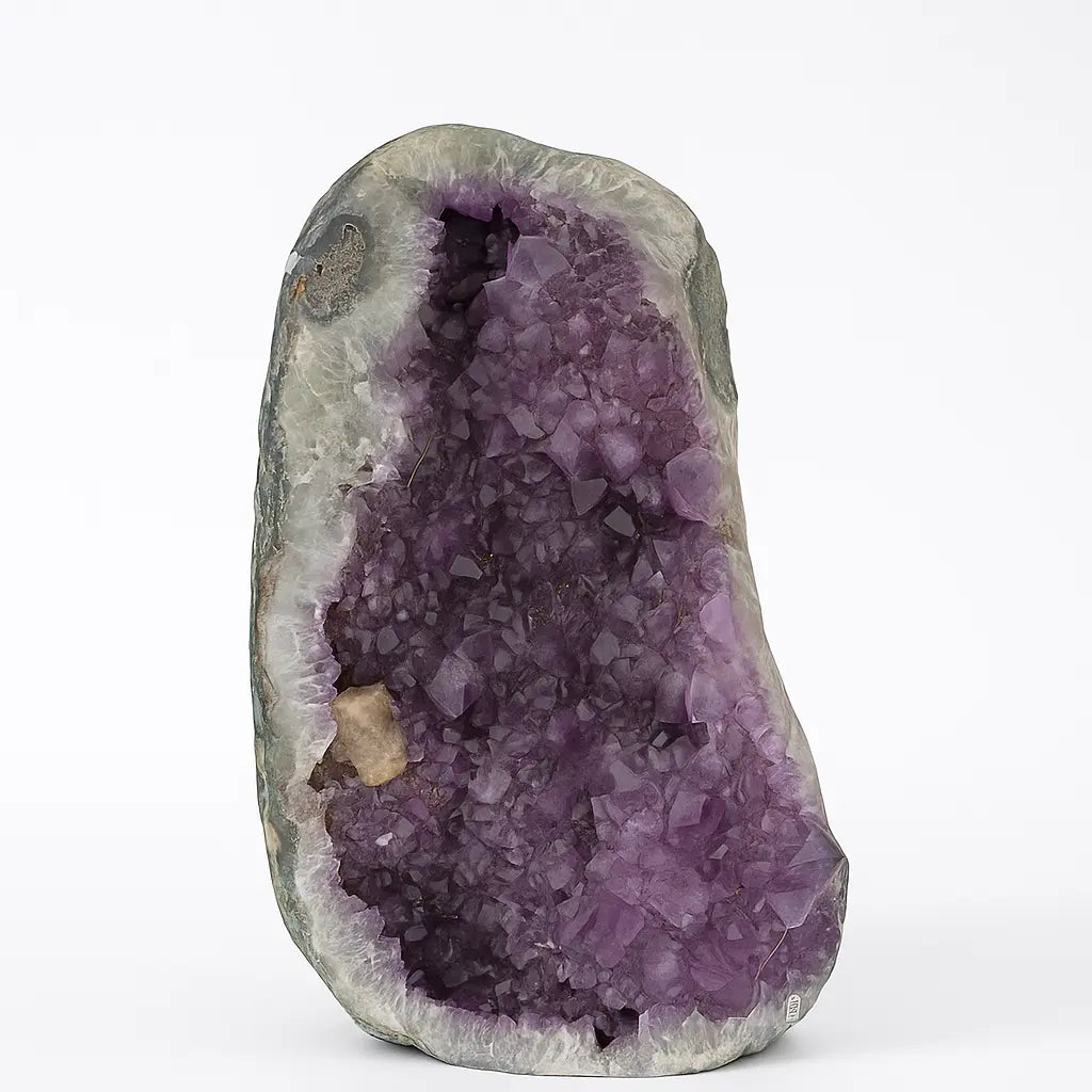 Polished Amethyst Druzes Sylvia Crystals Sp. z o.o.